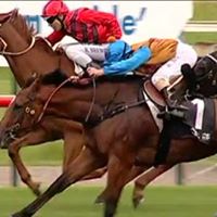 Sue Mcmaster Photo 9