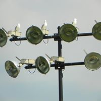 Phyllis Coats Photo 6