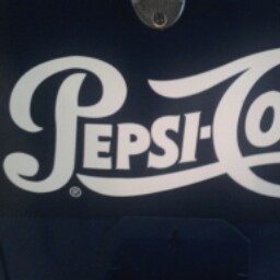 Brandon Ray Photo 29