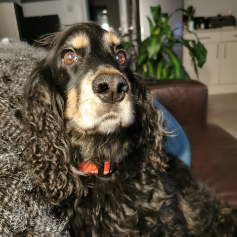 Richard Ainsworth Photo 29