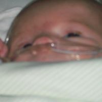 Susan Gunder Photo 2