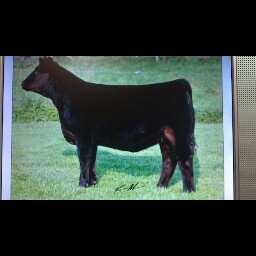 Larry Garrett Photo 9