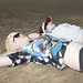 Helen Collet Photo 2