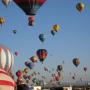 Sue Prentice Photo 18