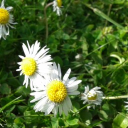 Kate Barker Photo 36