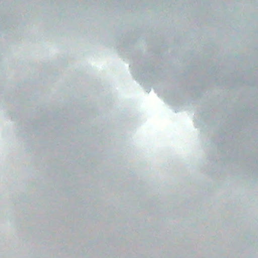 Eric Hansen Photo 48