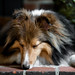 Sheri Tucker Photo 15