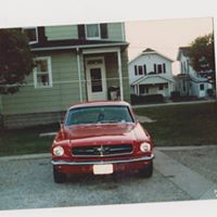 Steve Witte Photo 16