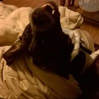 Kenneth Garland Photo 14