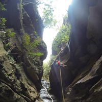 Kerry Tripp Photo 18