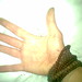 Yan Chan Photo 36