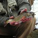 James Trout Photo 8