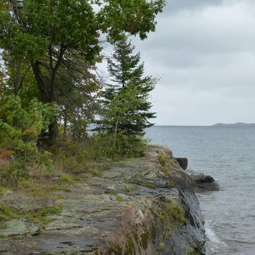 Michele Lowe Photo 19