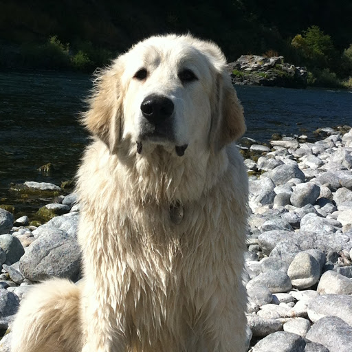 Debora Allen Photo 17