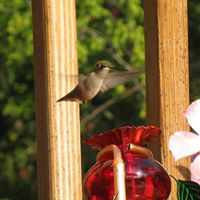 Kathleen Nix Photo 10