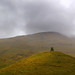 Robert Cairns Photo 20