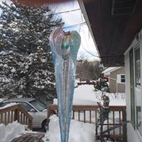 Sandra Anders Photo 41