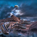 Roland Taylor Photo 26