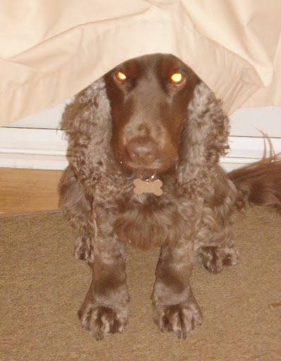 Louise Sharp Photo 7