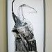 Mark Napier Photo 29
