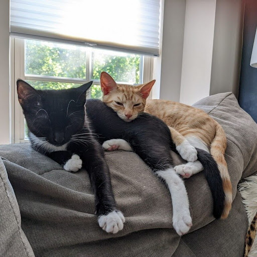 Randy Richter Photo 25