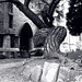 Margaret Wheeler Photo 30