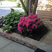 Vickie Sanford Photo 8