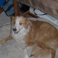 Brooke Walter Photo 30