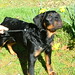 Ray Rader Photo 7