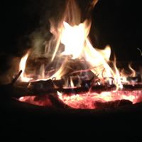 Jason Pennington Photo 38