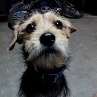 Michael Creighton Photo 19