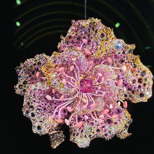 Juliet May Photo 12 Juliet May Photo 12