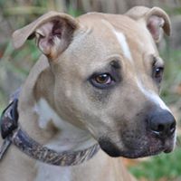 Clayton Thibodeau Photo 1