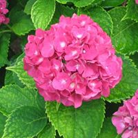 Stacy Abbott Photo 12