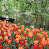 Randy Travis Photo 34 Randy Travis Photo 34