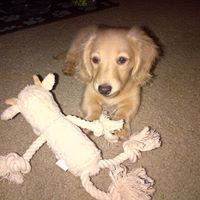 Nancy Judge Photo 17