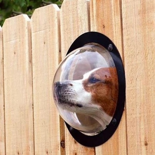 Patricia Hendricks Photo 24