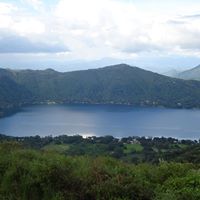 Alejandro Gomez Photo 46