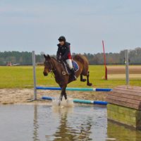 Julie Worley Photo 22