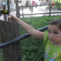 Debbie Grady Photo 32