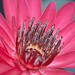 Rebecca Hughes Photo 15