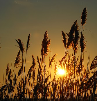 Andrea Erickson Photo 23