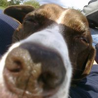 Cleo Mcdowell Photo 5