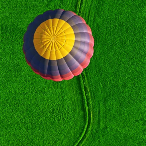 Renee Stevens Photo 12