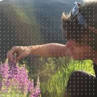 Robert Fitch Photo 34