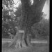 John Glynn Photo 23