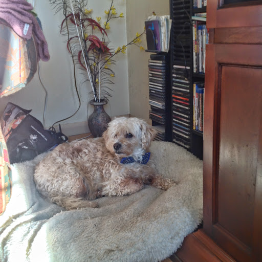 Bonnie Brown Photo 36