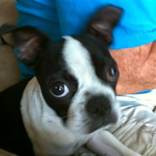 Jennifer Shipley Photo 25