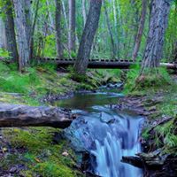 Laura Burkett Photo 14