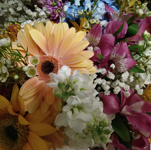 Sandie Smith Photo 6